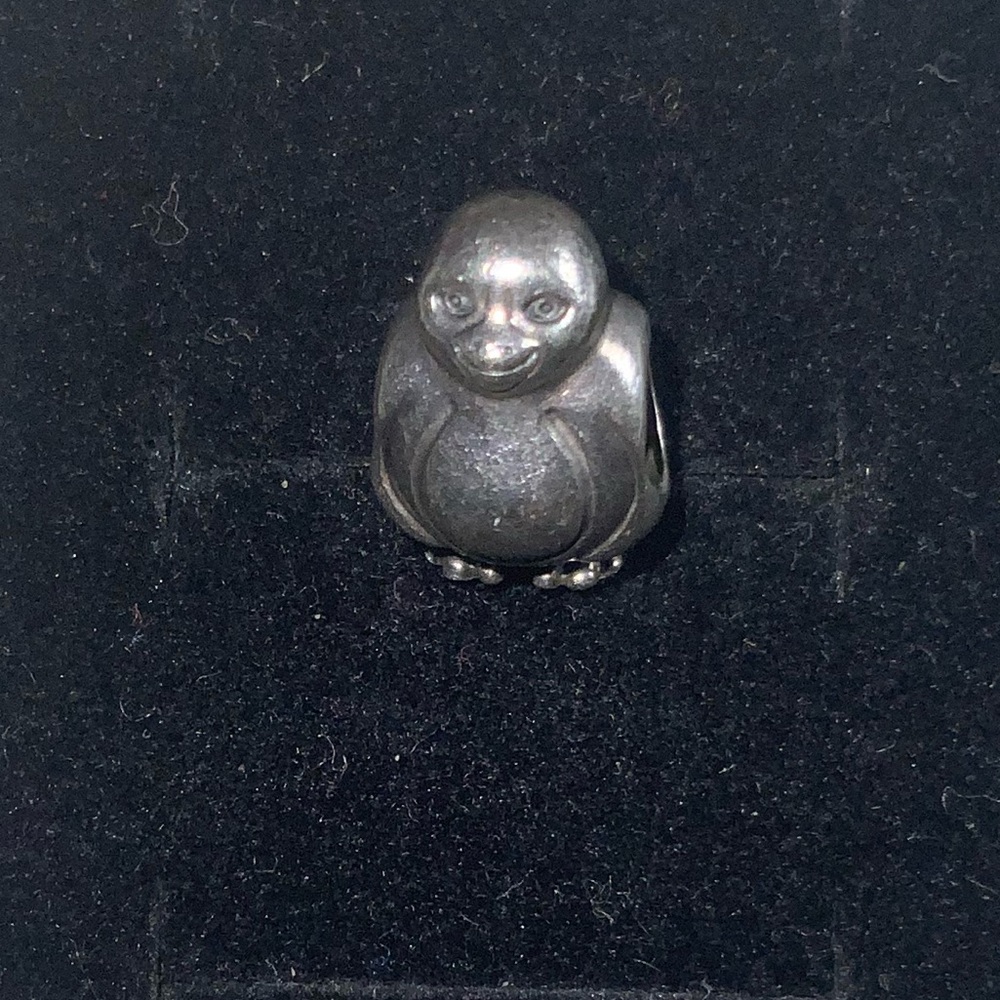 Pandora retired charm